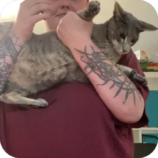 Стикер Гога🏔️🦅 - 4