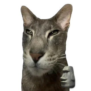 Стикер Гога🏔️🦅 - 10