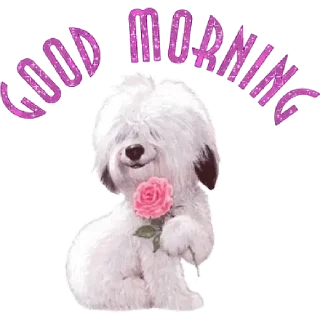 Стикер Good Morning @stickersb2b - 9