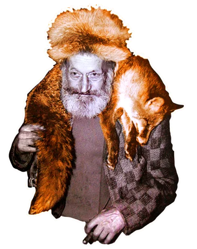 Sticker GoldenBee - 1