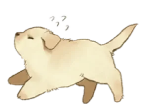 Sticker Golden Retriever Puppy 1-3 - 8