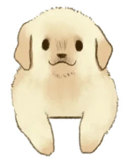Sticker Golden Retriever Puppy 1-3 - 11