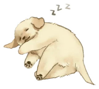 Sticker Golden Retriever Puppy 1-3 - 4