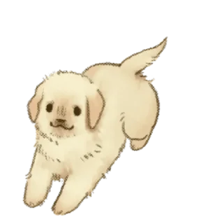 Sticker Golden Retriever Puppy 1-3 - 3