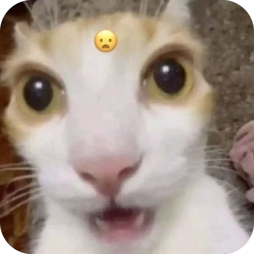 Стикер Golira5 - 1