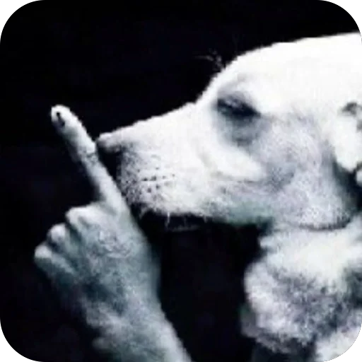 Стикер Golira5 - 1