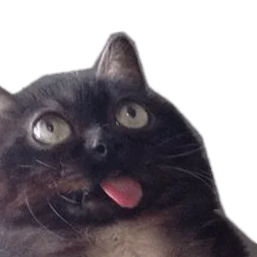 Стикер Gologramma - 11