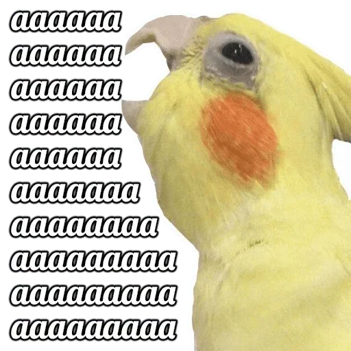 Стикер Gologramma - 5