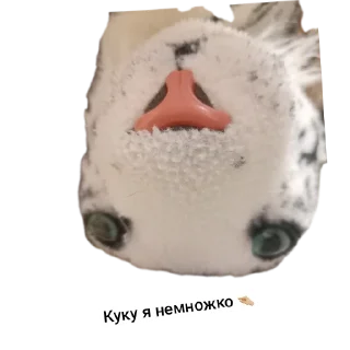 Sticker Головы клановцев - 1