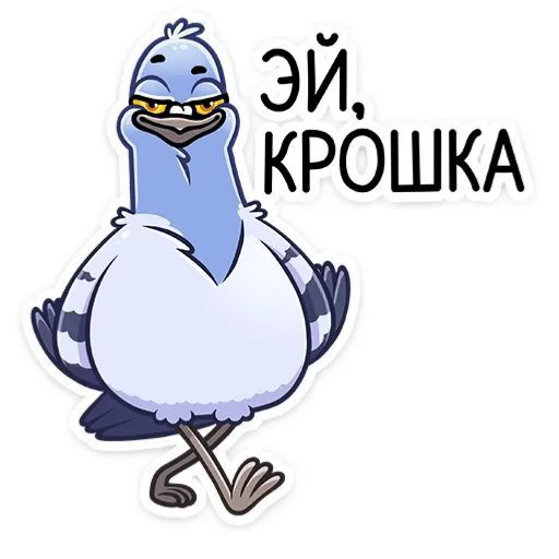 Голубь Валера 😏 - 
