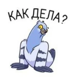Стикер Голубь Валера 😏 - 4