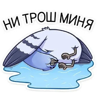 Стикер Голубь Валера 😏 - 8
