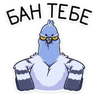 Стикер Голубь Валера 😏 - 3