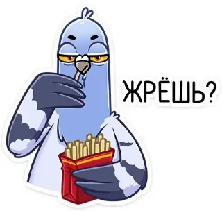 Стикер Голубь Валера 😏 - 1