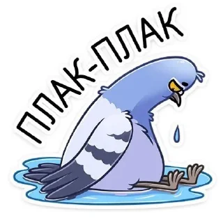 Стикер Голубь Валера 😏 - 9