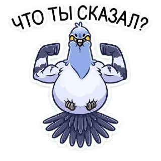 Стикер Голубь Валера 😏 - 5