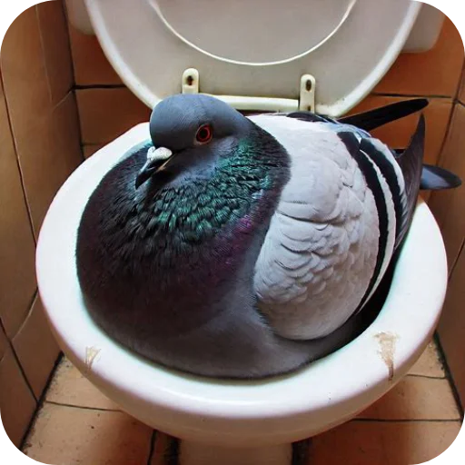 Sticker Golubi410 - 1