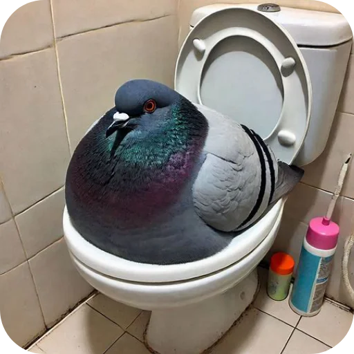 Sticker Golubi410 - 1