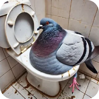 Sticker Голуби - 6