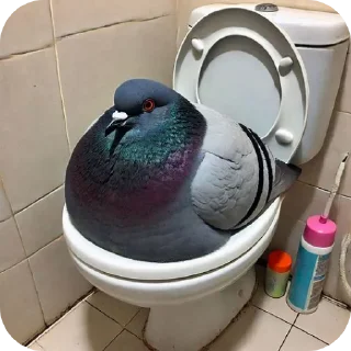 Sticker Голуби - 0