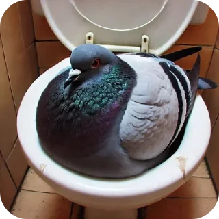 Sticker Голуби - 9