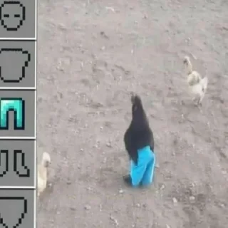 Sticker Голубиное пати ееее - 6