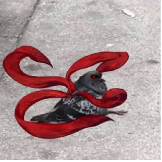 Sticker Голубиное пати ееее - 11