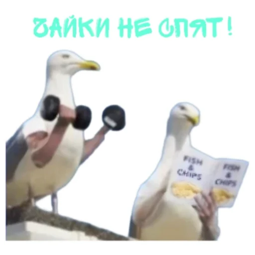 Стикер Gonzobro - 1