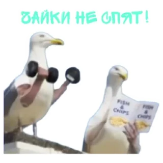 Sticker Гонзобро - 0