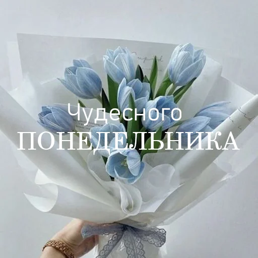 Дни Недели - 