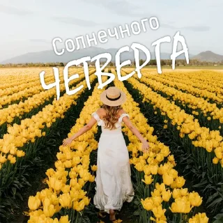 Sticker Дни Недели - 8