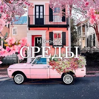 Sticker Дни Недели - 5