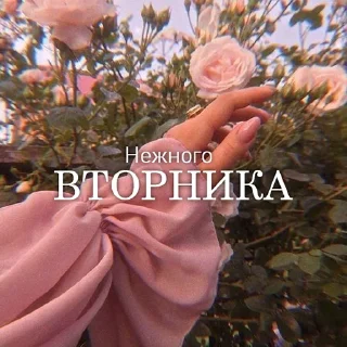 Sticker Дни Недели - 10