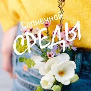 Sticker Дни Недели - 6