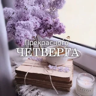 Sticker Дни Недели - 0