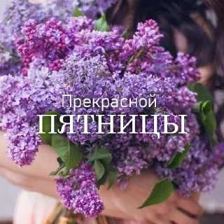 Sticker Дни Недели - 7