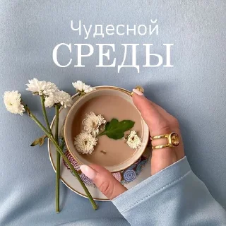 Sticker Дни Недели - 9