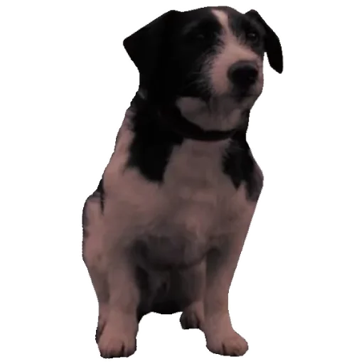 Стикер GoodOmensMemes - 1