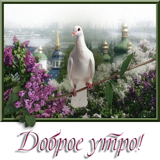 Sticker Доброе утро! @stickerography - 2