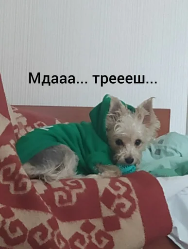 Мдааа... трееш... - 