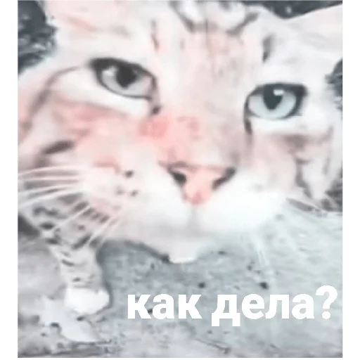 Sticker Googlgif47_46 - 1