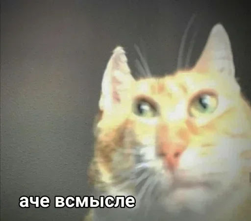 Стикер goonate разбань пж :: @fStikBot - 3