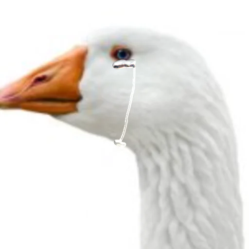 Sticker Goose_pppp - 1