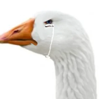 Стикер Гуси [] - 4