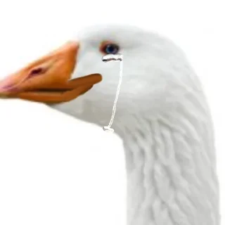 Стикер Гуси [] - 6