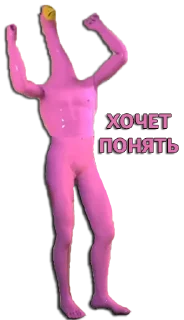 Sticker Розовый гусь (by3121) - 0