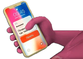 Sticker Розовый гусь (by3121) - 2