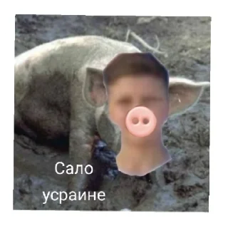 Стикер Гор - 5