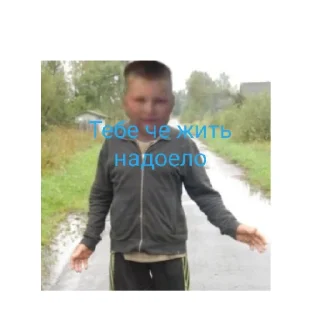 Стикер Гор - 6