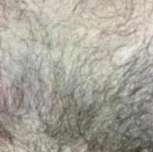 Sticker ❤Любимый Го(р/н)дон☺ - 10